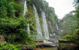 Serranía de la Macarena, Jungle Tour